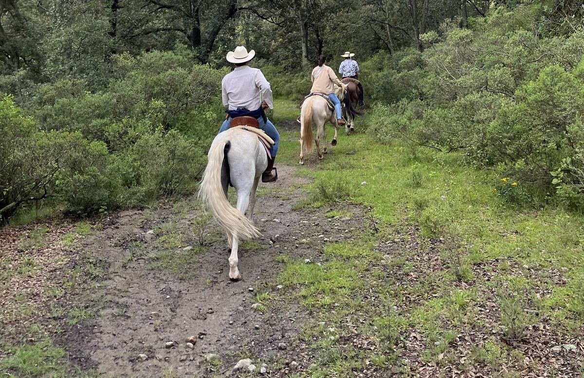 Paseo a caballo en los senderos de la hacienda